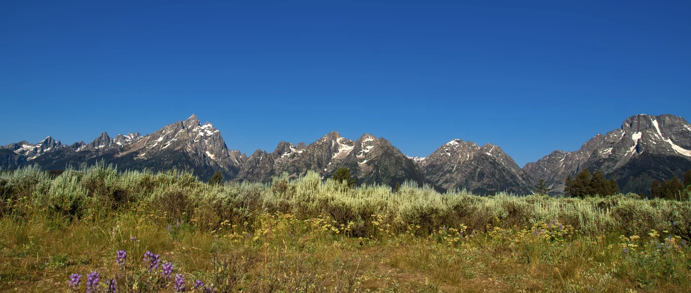 Sage and Tetons, Wyoming